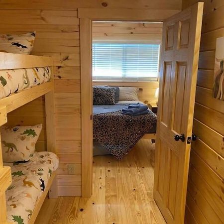 Serene 1Br Cabin Near Nc Z00 With Loft & Waterview Asheboro Bagian luar foto